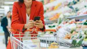 Five ways to lower your food shopping bill as families waste £730 a year... - The Sun