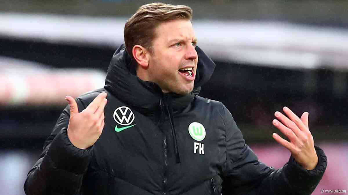 VfL Wolfsburg: Florian Kohfeldt kaut wieder Gummi - Bundesliga - Bild.de - BILD
