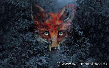 Mid-January keeps us home with more streaments - westmountmag.ca