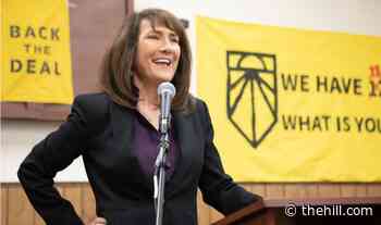 Watchdog finds 'substantial' evidence Illinois Democrat promised job to potential challenger