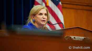 Democrats ask for information on specialized Border Patrol teams