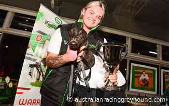 Robbie Rotten dominates star-studded Warragul Cup final - Australian Racing Greyhound.com
