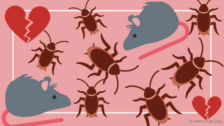 Texas zoo naming rats, cockroaches after people for Valentine's Day