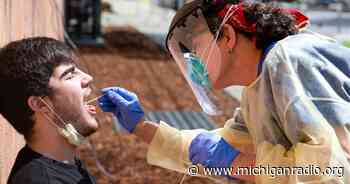 Is the coronavirus plateauing in Michigan? Maybe, but hospitals are still feeling the strain - Michigan Radio