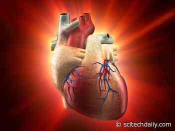 Pfizer COVID-19 Vaccine Associated With Increased Risk of Carditis (Heart Inflammation)