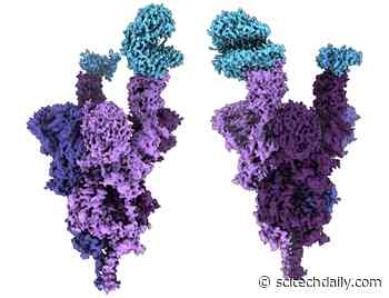 Scientists Unveil World’s First Molecular-Level Analysis of COVID Omicron Variant Spike Protein