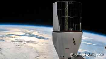 Scientific Hardware and Space Experiments Returning to Earth on SpaceX CRS-24 Dragon