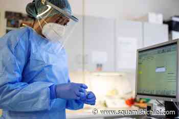 BC COVID-19 data update January 24: Record in hospital: 987 - Squamish Chief