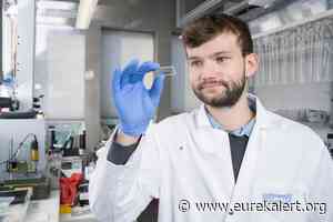 New, better coronavirus rapid test - EurekAlert