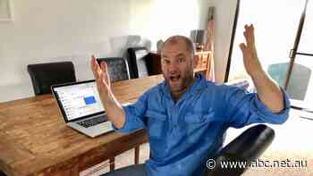 From paltry earnings to poultry yearnings: Hundreds offer to rehome egg farmer's hens