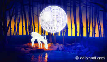 Here’s What’s Next for Cardano (ADA), Polkadot (DOT), Terra (LUNA) and Four Additional Altcoins, Accord... - The Daily Hodl