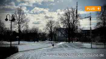 Im Vorfeld in Neu-Ulm sollen Bäume für neue Wohnungen weichen - Augsburger Allgemeine