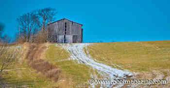 Seed legumes in winter for cheap fertilizer in spring pastures
