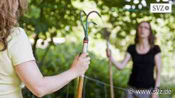 Schiedsstelle Wittenberge: Nachbarschaftsstreit blüht auch unter Pandemiebedingungen | svz.de - svz – Schweriner Volkszeitung
