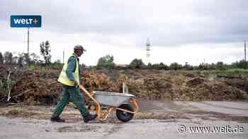Struktureller Wandel: Die Ukraine ist geschrumpft – aber der Wirtschaft könnte es schlechter gehen - WELT