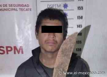 Detienen a masculino por cargos de tala ilegal - El Mexicano Gran Diario Regional