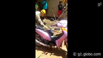 Cobra 'fujona' é encontrada dentro de moto e assusta comerciante em Goianira; vídeo - G1