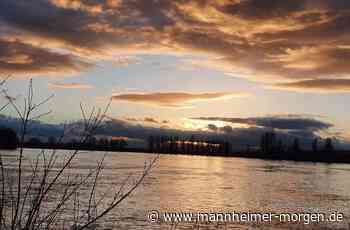 „Ein Hoch auf Hier“: Das beliebteste Motiv dieser Tage - Mannheimer Morgen