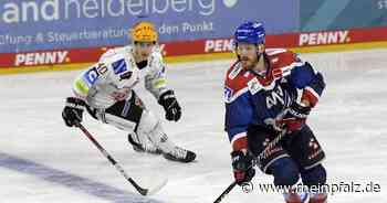 Adler Mannheim: Endlich wieder mal ein Spiel - Eishockey - Rheinpfalz.de