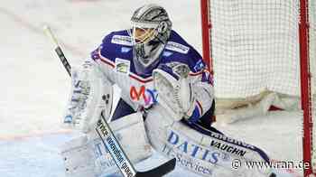 Eishockey - DEL: Mannheim stolpert in Straubing - Ran - RAN