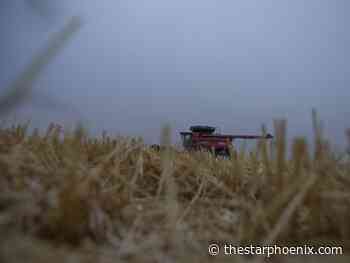 Sask. Polytechnic team working on mental health supports for farmers and ranchers