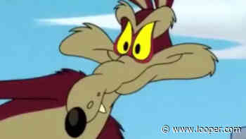 Coyote Vs. Acme - What We Know So Far - Looper