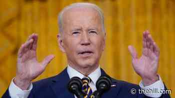 Biden touts 'total unanimity' with European leaders after call