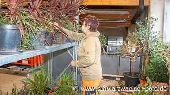 Wildberger Grünanlagen: Auch im Winter gibt es viel Arbeit