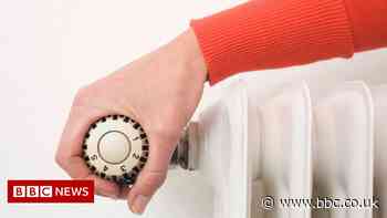 Spread high energy costs over several years, says Octopus Energy boss