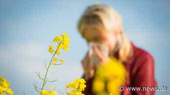 Biowetter Region Koblenz heute: Belastung durch Erlen-Pollen! Wetterfühligkeit und Pollenflug aktuell - news.de