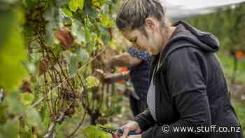 Pick Nelson-Tasman to work, campaign urges - Stuff.co.nz