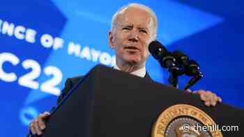 Most Americans see Biden as likable, intelligent; not as strong, decisive leader: Gallup
