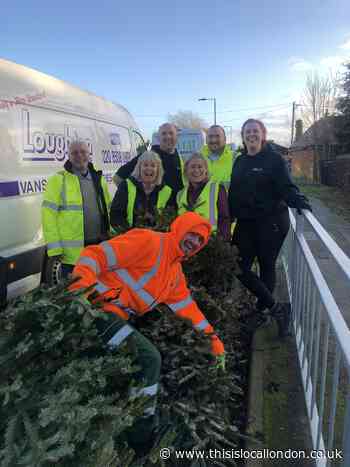 Christmas tree recycling nets £17,000 for St Clare Hospice