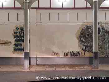 Spray painter made to remove graffiti from Taunton wall - Somerset County Gazette