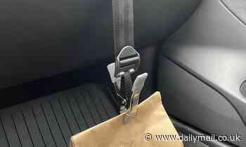 Tech: Inventor develops a SEATBELT for takeout to ensure you get your fast food home in one piece