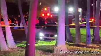 Chase of Armed Carjacking Suspect Ends in Crash Near Miami Beach Welcome Sign