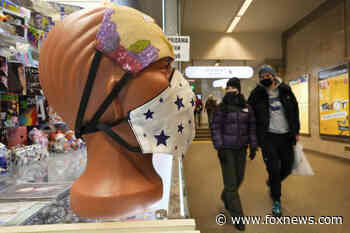 If omicron increases global immunity, more manageable COVID phase could be next: experts