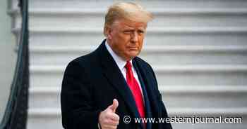 How Donald Trump and COVID Destroyed the Democratic Party