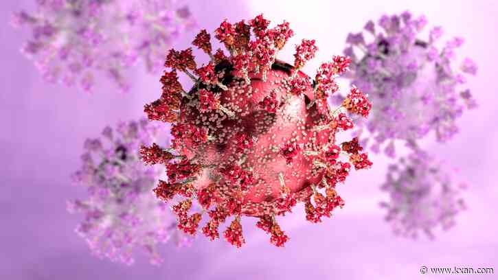 COVID-19 case numbers peak, Central Texas health leaders eye new Denmark variant