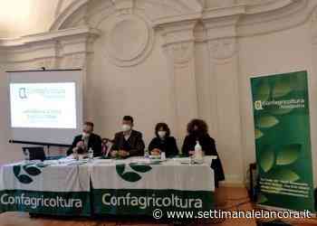 Assemblee zonali di Confagricoltura Alessandria: la riunione di Acqui Terme – Ovada - L'Ancora