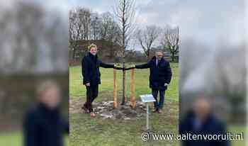Gemeente Aalten schenkt linde aan Stadt Bocholt | Al het nieuws uit Aalten - Aalten Vooruit