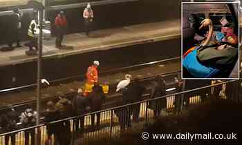 Injured swan on the line causes hours of delays for rush-hour commuters at London station [video]