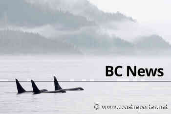 One dead, 12 injured in fiery bus/truck crash near McBride, B.C. - Coast Reporter