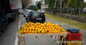 E' allarme furti di arance nella Piana di Catania. danni per migliaia di euro - La Sicilia