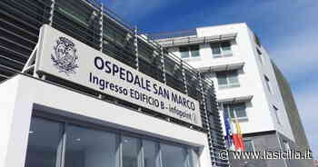 Catania, grave neonato contagiato: è sottoposto alla ventilazione extracorporea (Ecmo) - La Sicilia