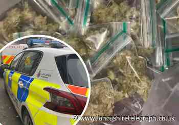 Nelson man arrested after cannabis and paraphernalia seized