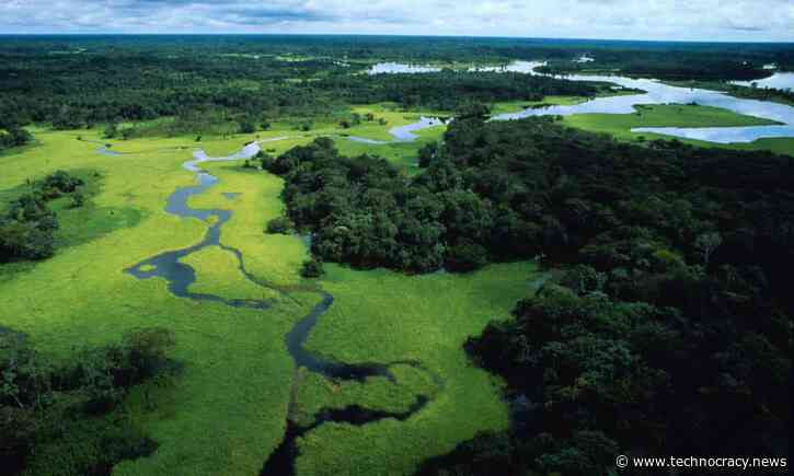 WEF: What IS Regenerative Capitalism And Who Cares?