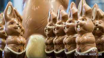 Ostern ohne Schokohasen? Der Süßwarenhandel warnt vor Engpässen