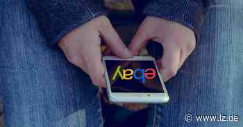 Durch Ebay-Betrug gerät Familie in Detmold fast in die Obdachlosigkeit | Lokale Nachrichten aus Detmold - Lippische Landes-Zeitung