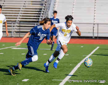 Wilcox Soccer Blends Youth and Experience - The Silicon Valley Voice